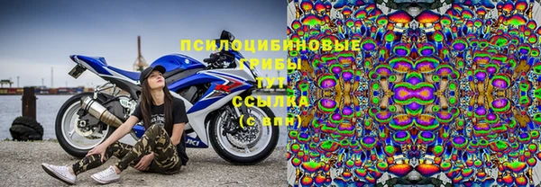 амф Алзамай