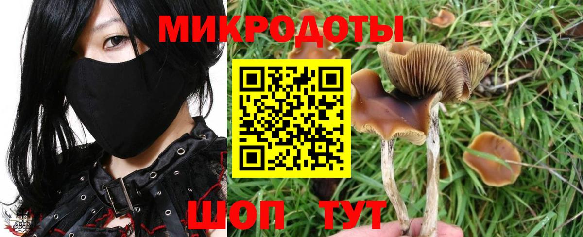 Псилоцибиновые грибы Magic Shrooms Асино