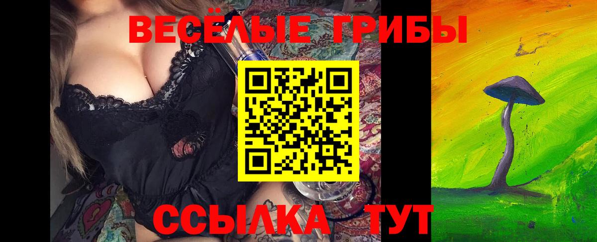 где можно купить   Вход с VPN  Асино  Галлюциногенные грибы Magic Shrooms 